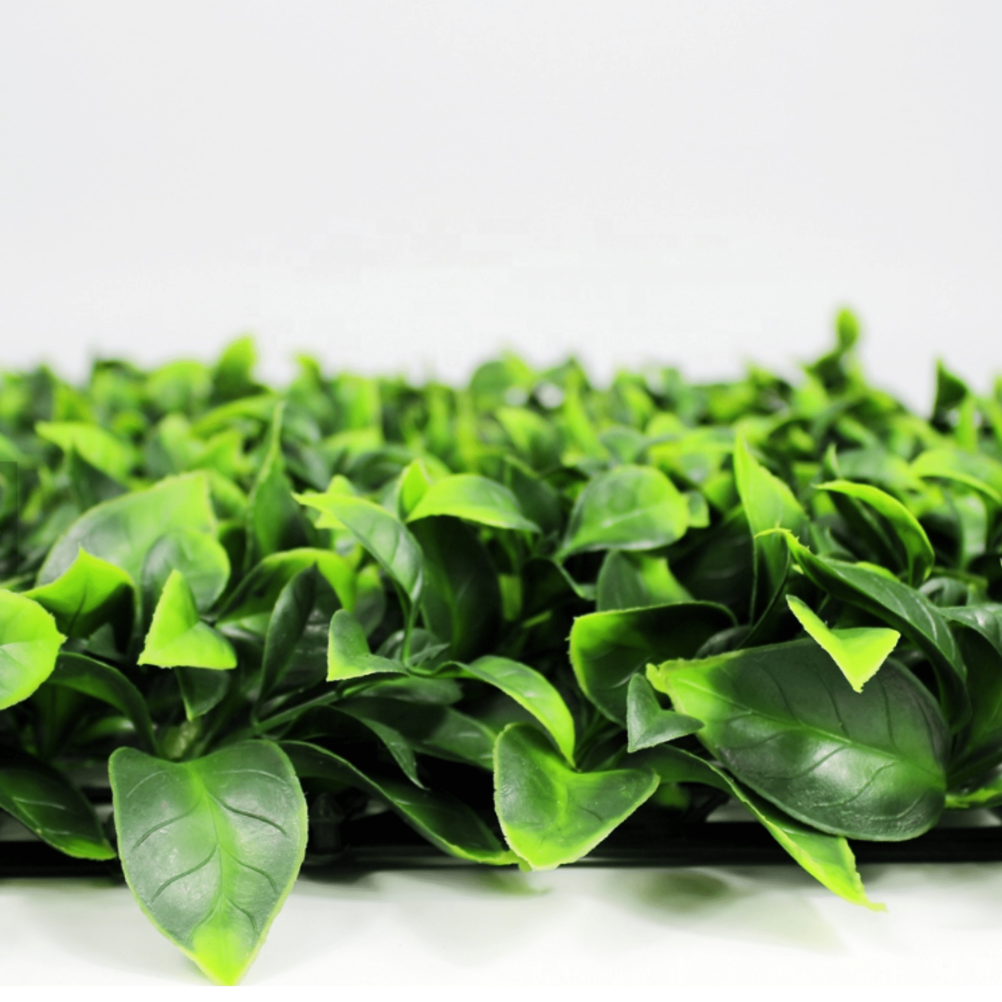 Jasmine Faux Green Wall Sample UV Resistant