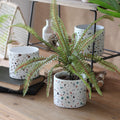 Contemporary Ceramic Succulent Holder