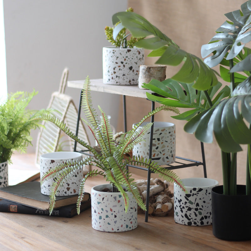 Contemporary Ceramic Succulent Holder
