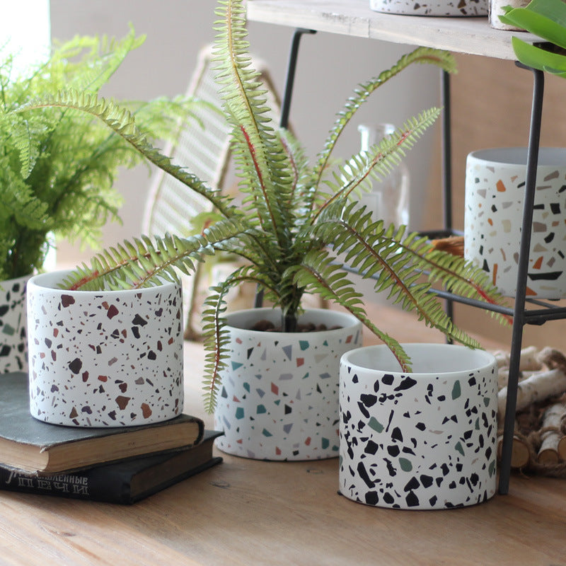Contemporary Ceramic Succulent Holder