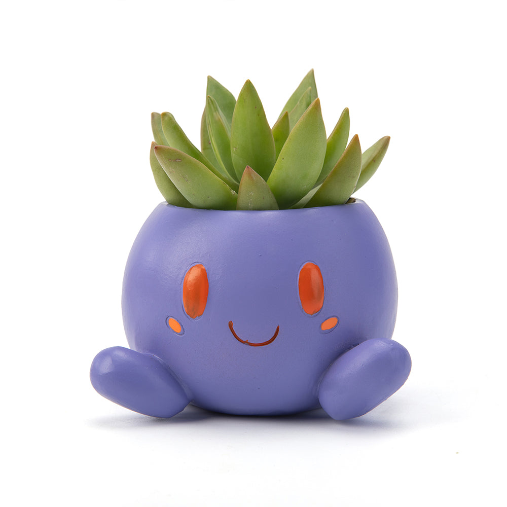 Oddish ColorSplash Succulent Pot