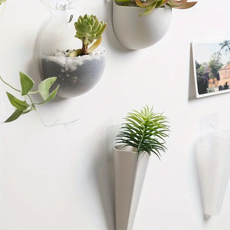 Indoor Wall-Mounted Plant Holders