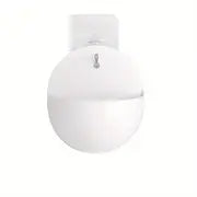 Indoor Wall-Mounted Plant Holders