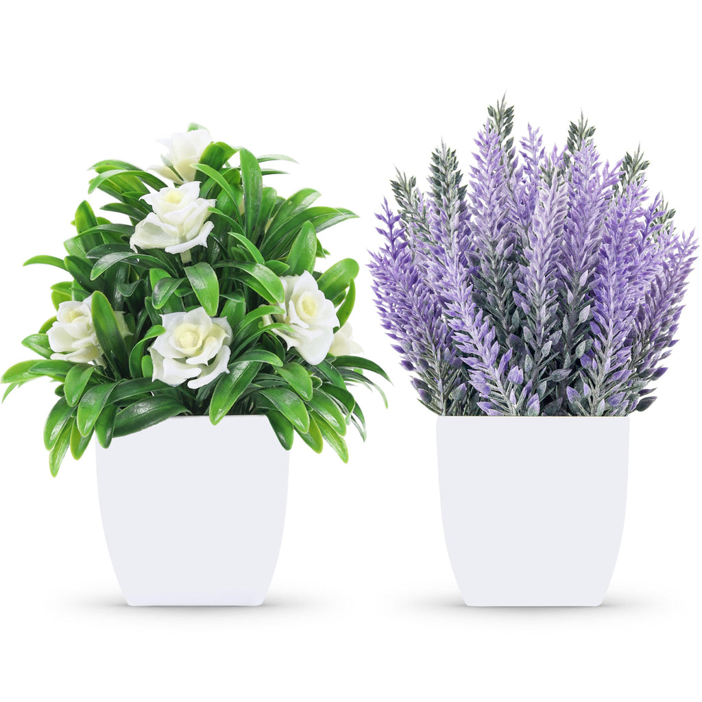 Der Rose 2 Pack Small Fake Plants with Flowers | Indoor Home Decor