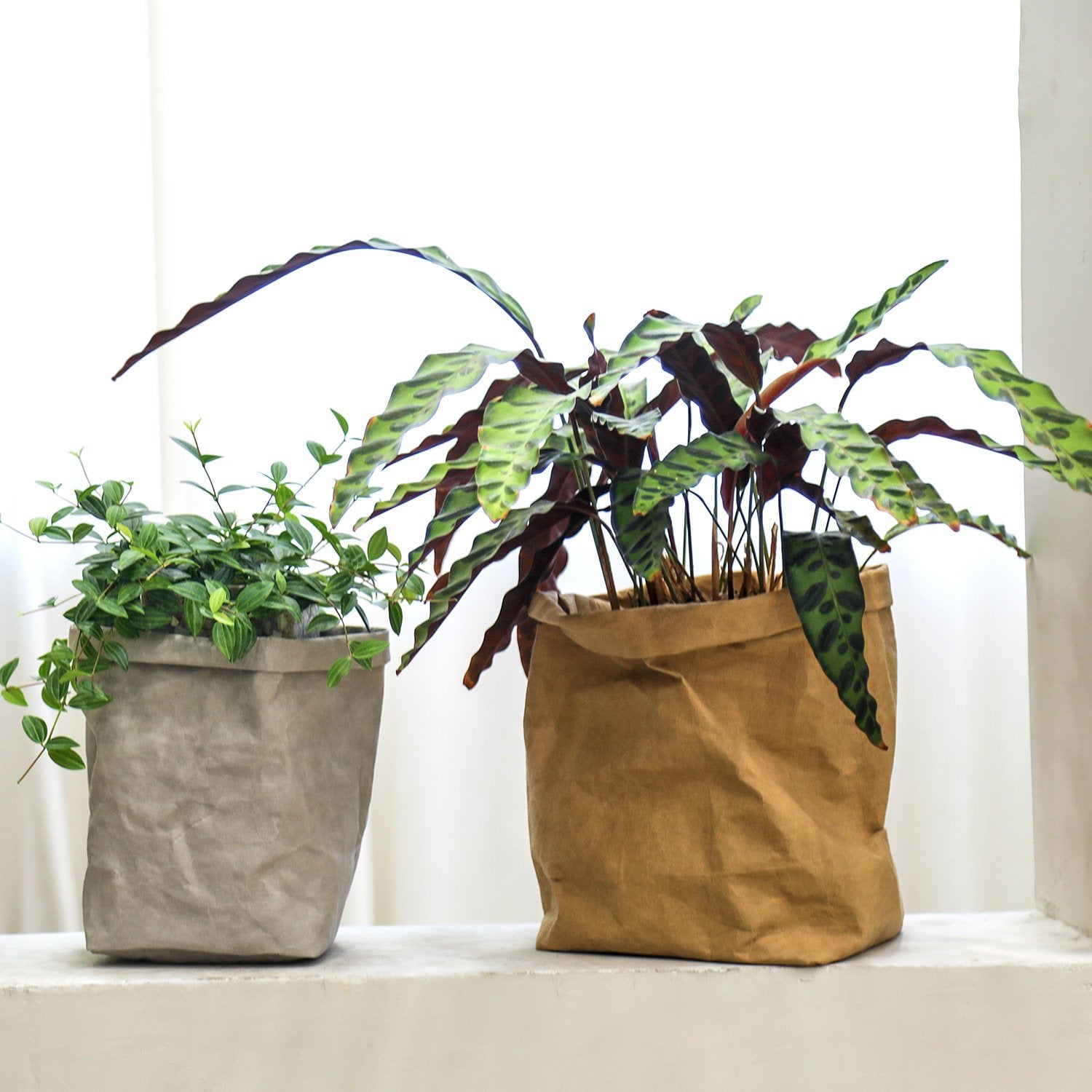 Versatile Kraft Storage Organizers