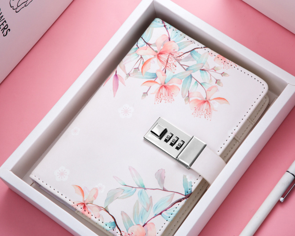 Password Notebook - Creative Minimalist Diary Journal